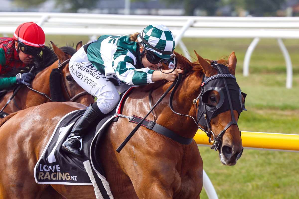 Gold Cup swansong for Dazzling Miss