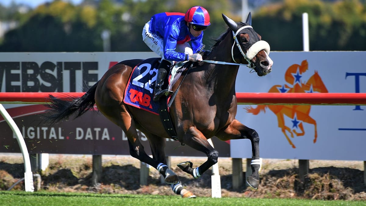 El Vencedor primed for Hong Kong challenge