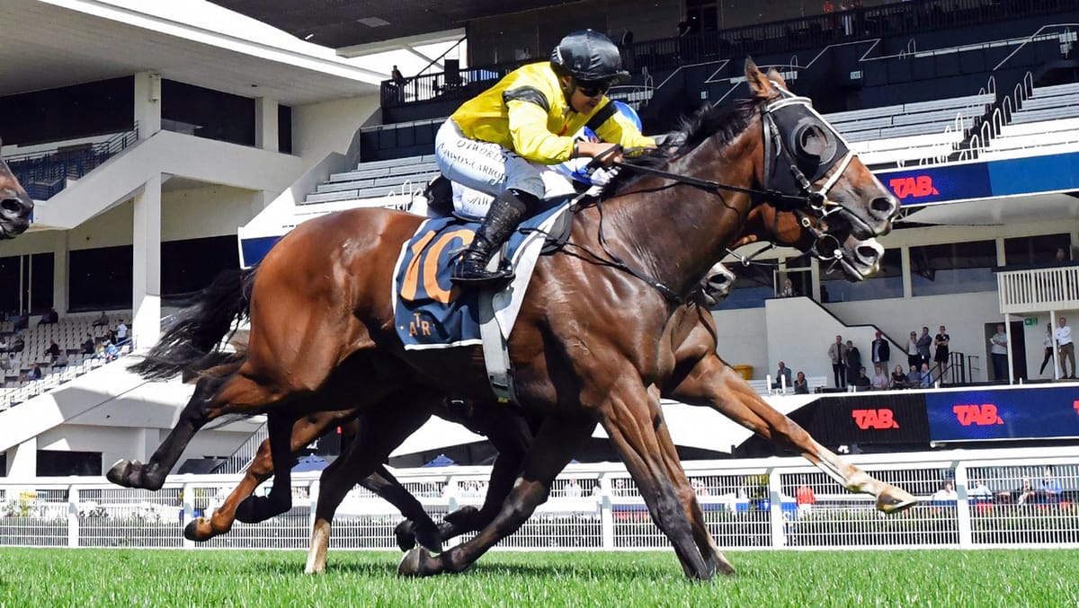 Embezzler absconds with Ellerslie prize