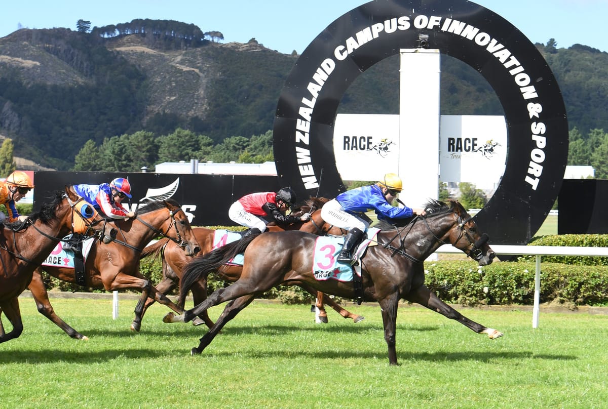 Low-priced Faultless lands Trentham upset