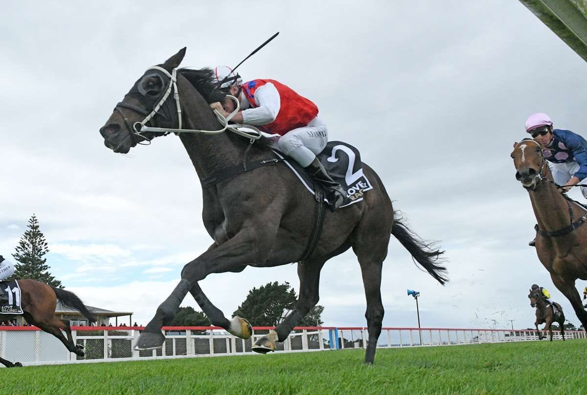 Fannin stablemates fancied at Woodville