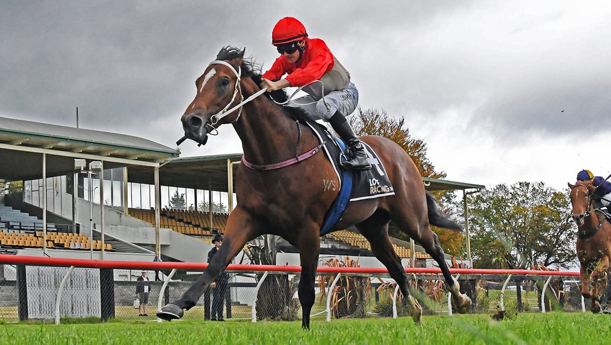 Te Rapa to determine Super Photon’s path