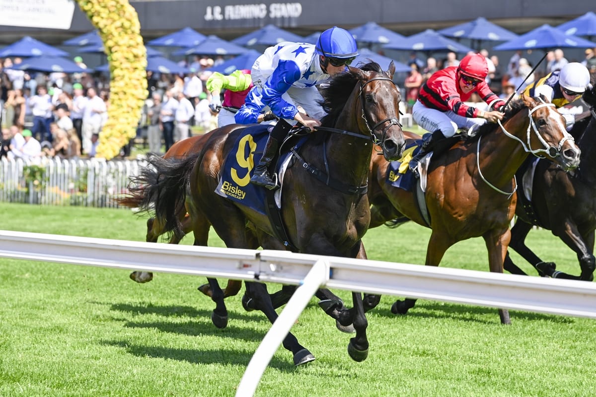 More mature King chasing Derby glory