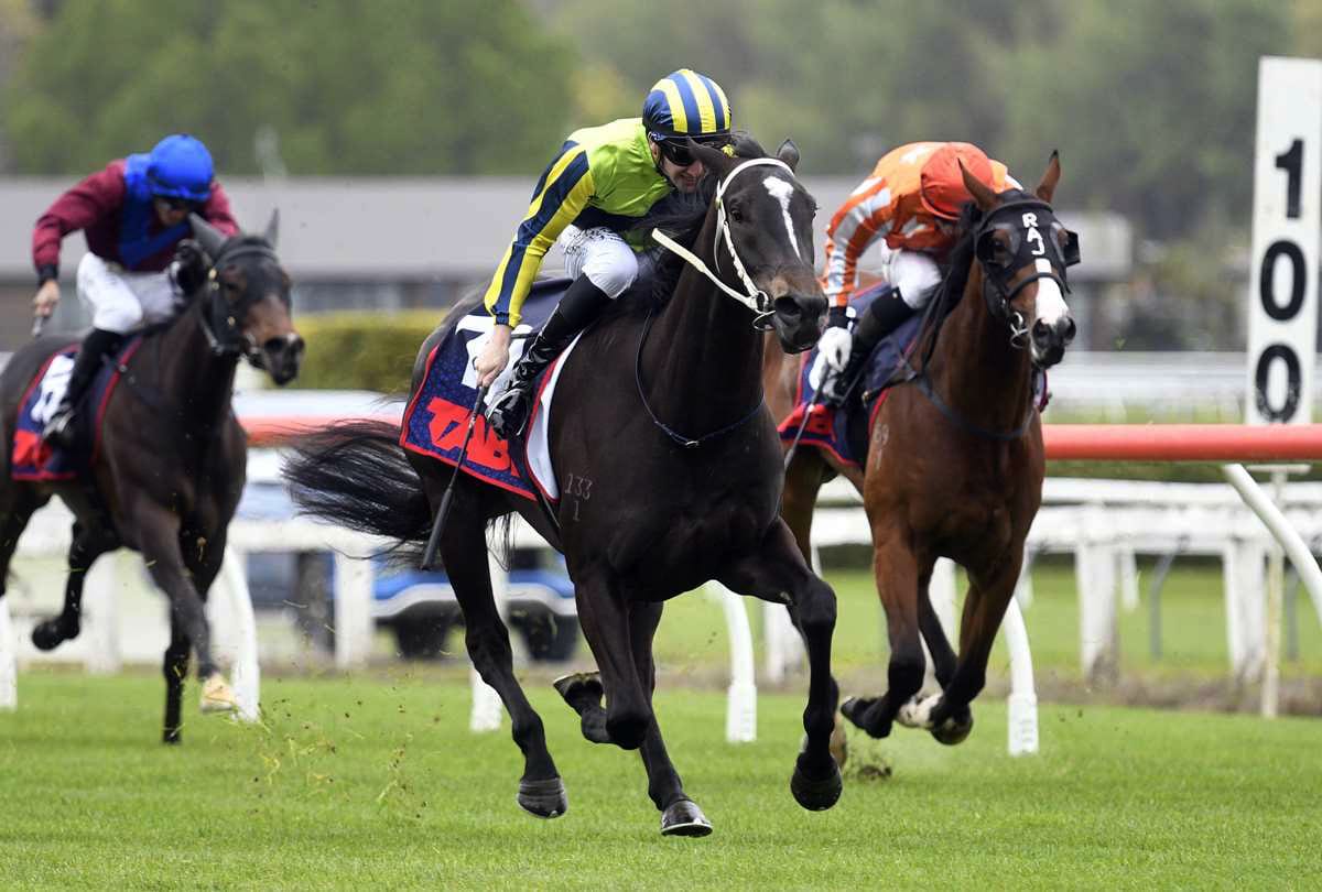 Marsh expecting bold Sydney showing from filly