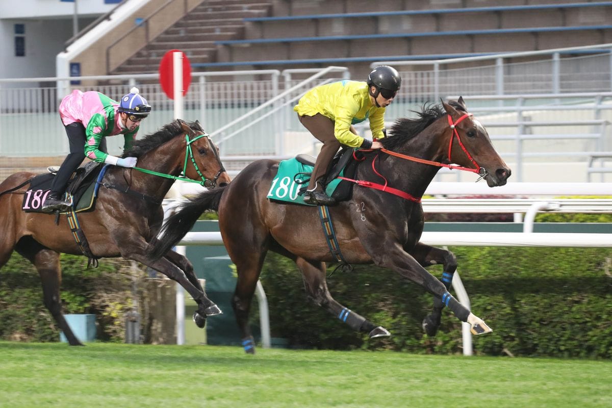 Lucky Sweynesse impresses in trial