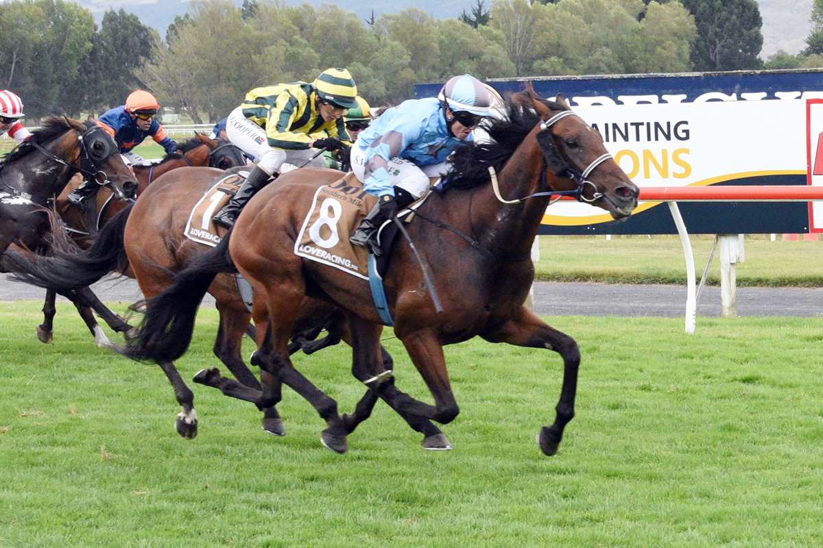 Southerners Making Their Presence Felt in Southern Alps Challenge