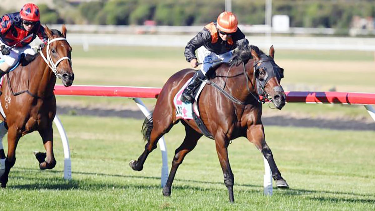 Mehzebeen returns to her happy hunting ground