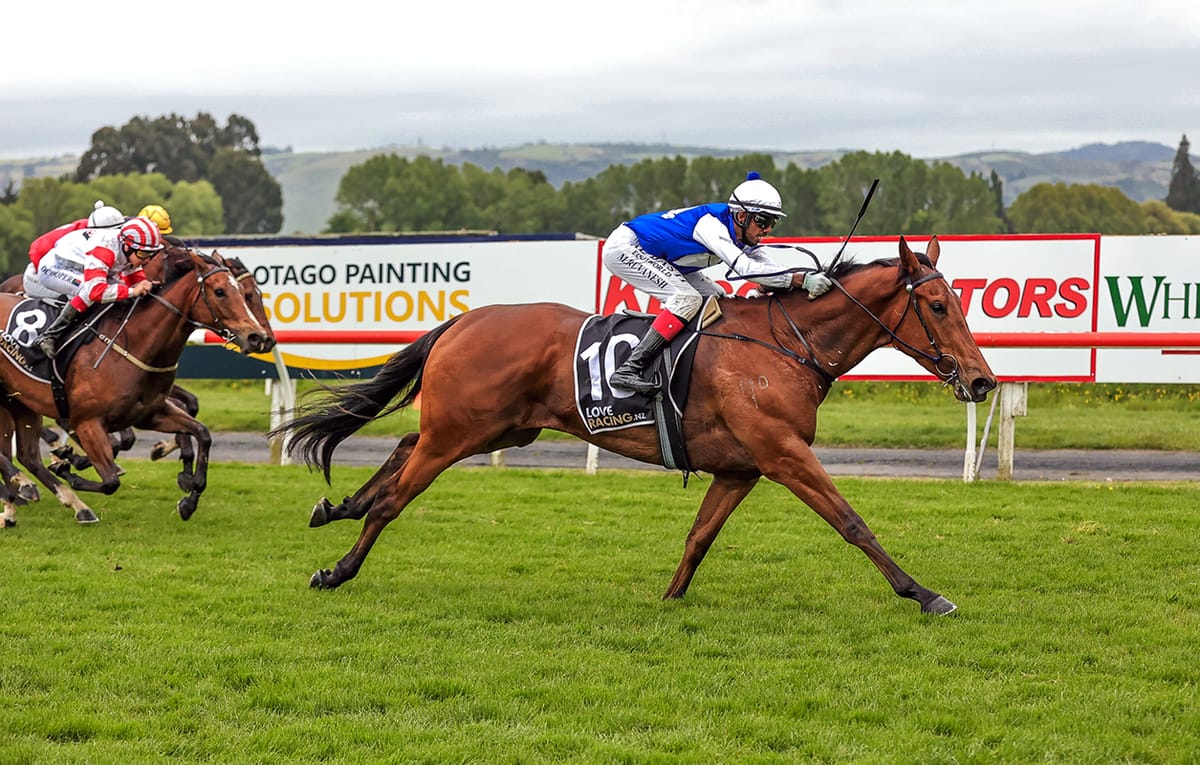 Loose Sally tuned for Riccarton stakes
