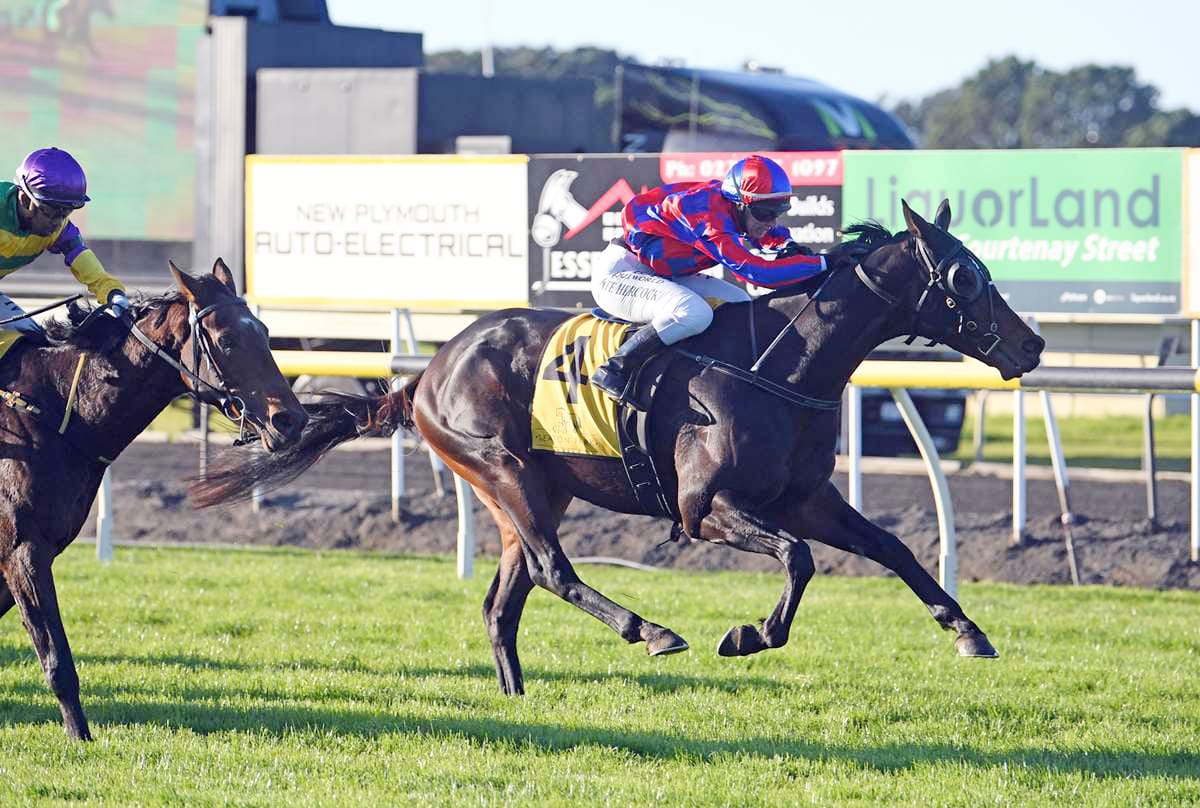 Orlov leading brother act for Haworth team