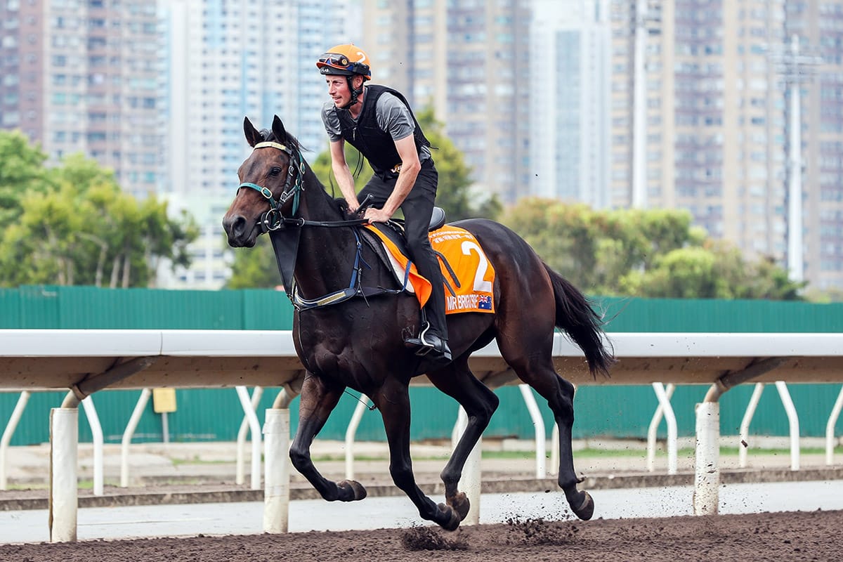 Mr Brightside ready to take on best in G1 FWD Champions Mile