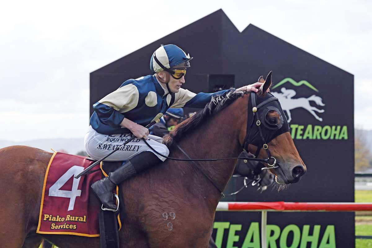 Group One goals back on the horizon for Pier