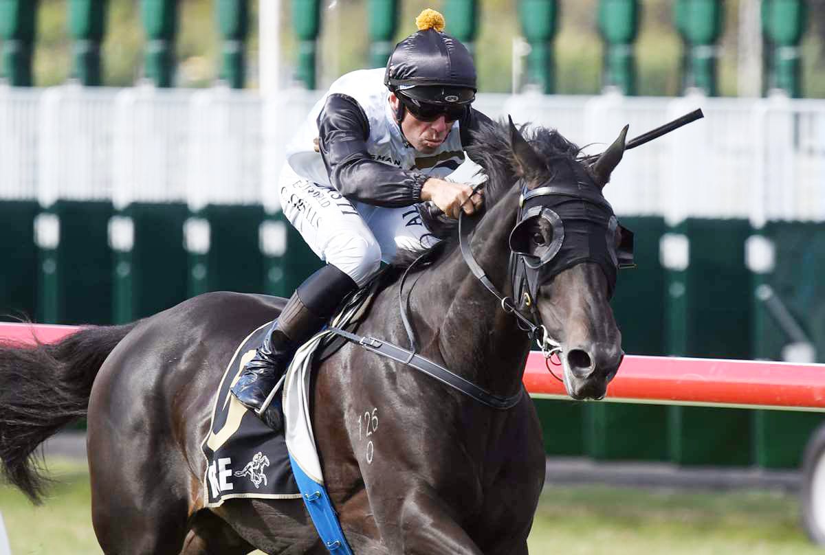 Forsman delighted with returning stayer