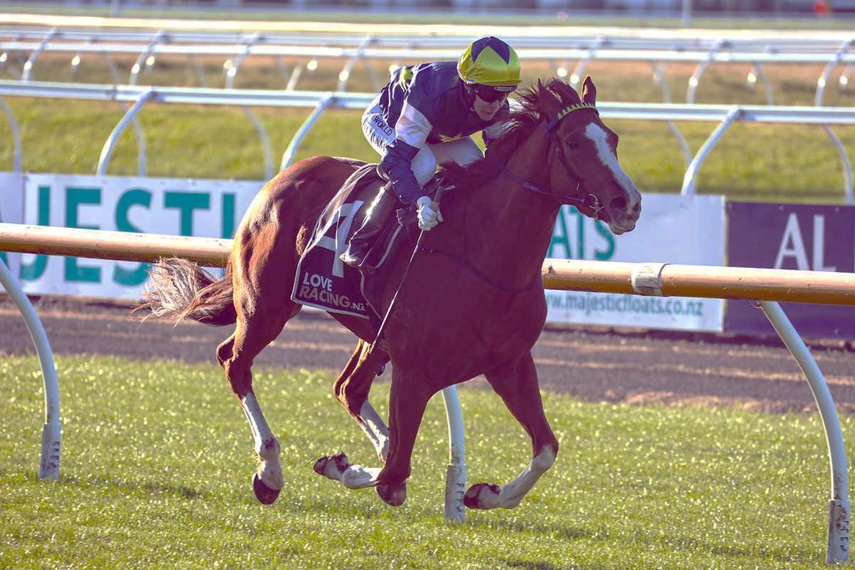 Big weekend in store for Riviera Rebel