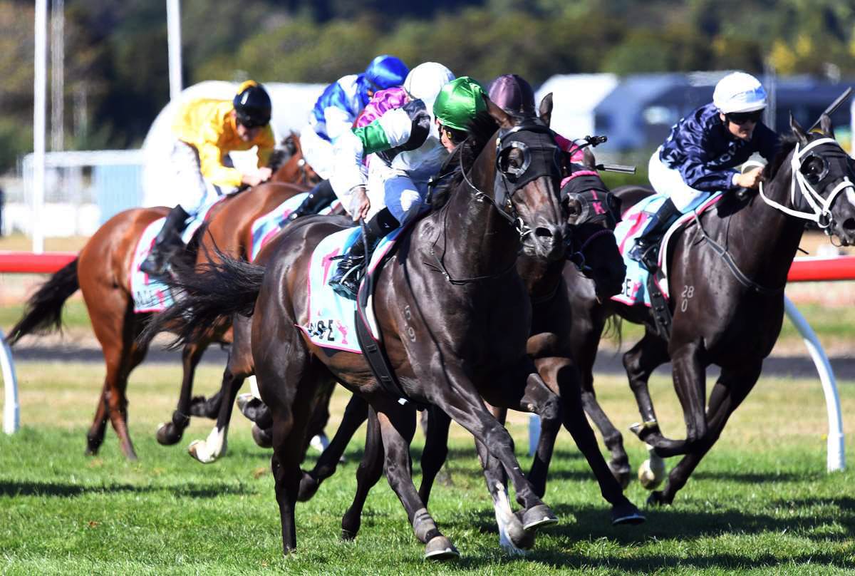 Track specialist bidding for stakes send off