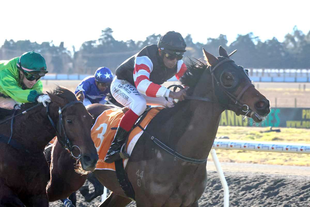 Theoden seeking to maintain strong record at Ascot Park