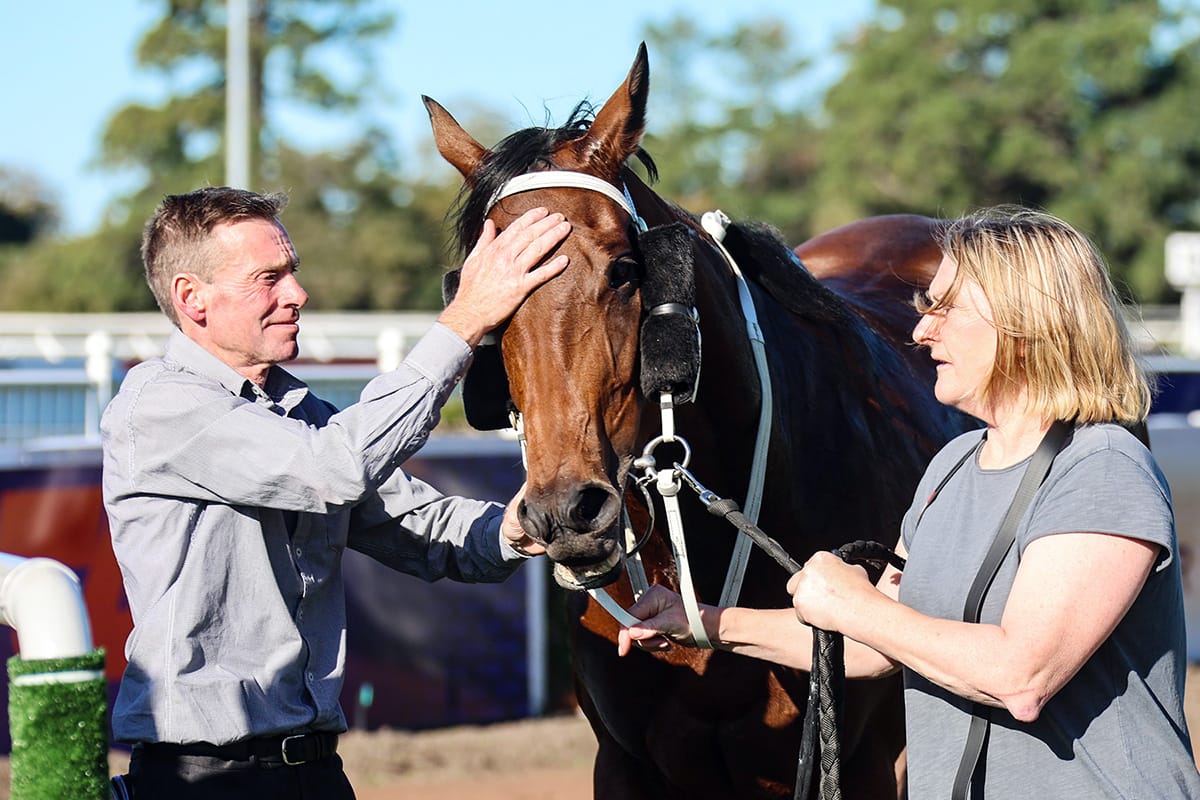 Tikki too speedy in Riccarton dash