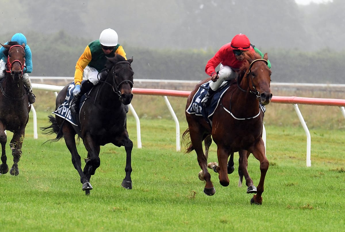 Cole continues Central Districts raid