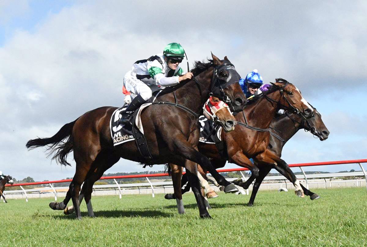 Val Di Zoldo back to rectify Travis Stakes result