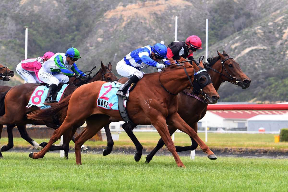 Wingman signs off for the season at Wanganui