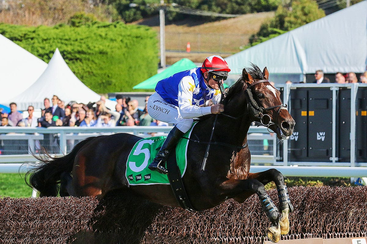 Kiwi-bred secures Brierly-Grand Annual double 