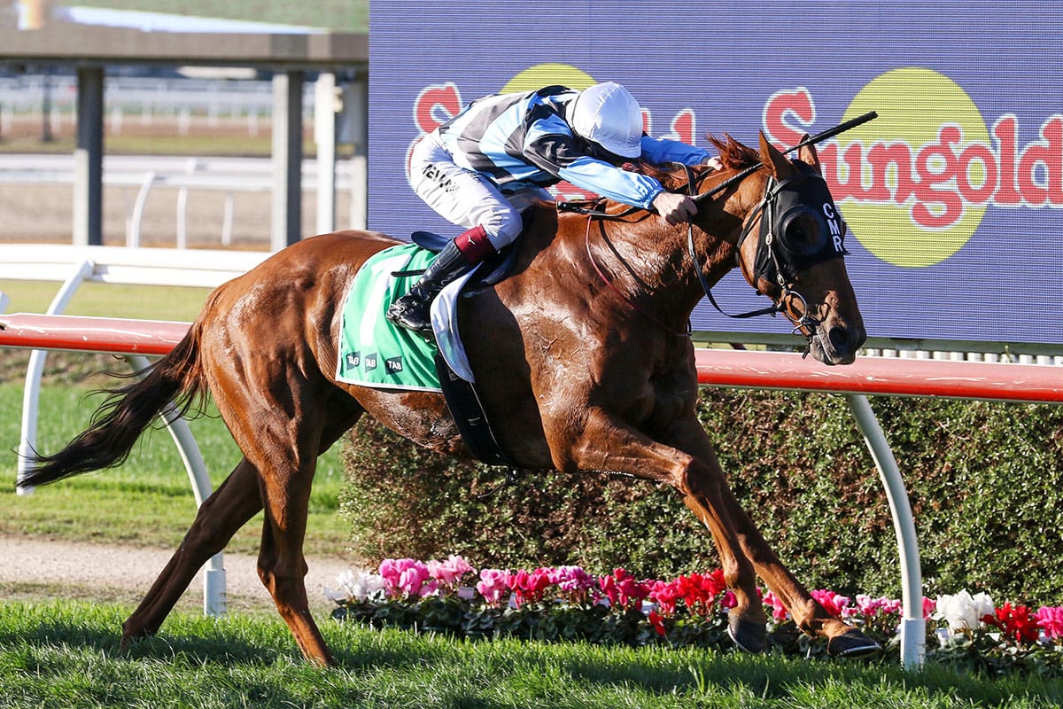 Maher lands hometown Cup victory