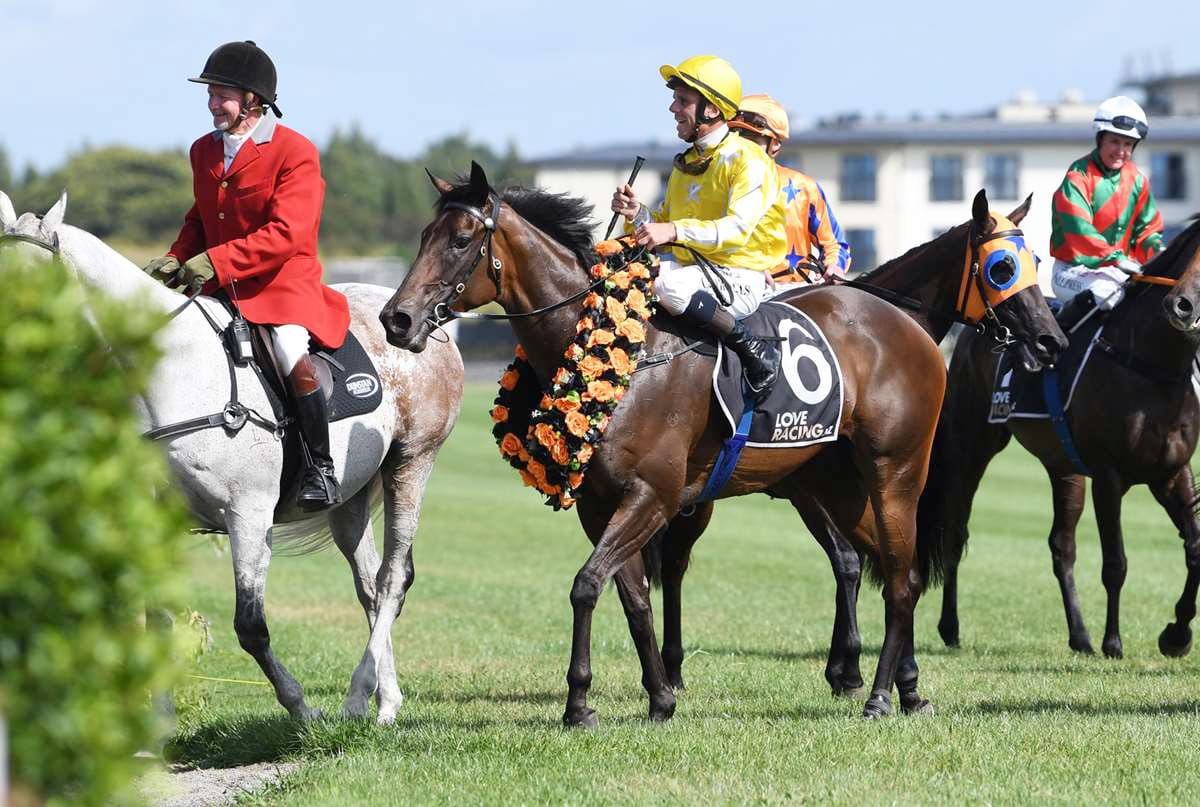 Group One winner Bonny Lass selling soon on Gavelhouse Plus