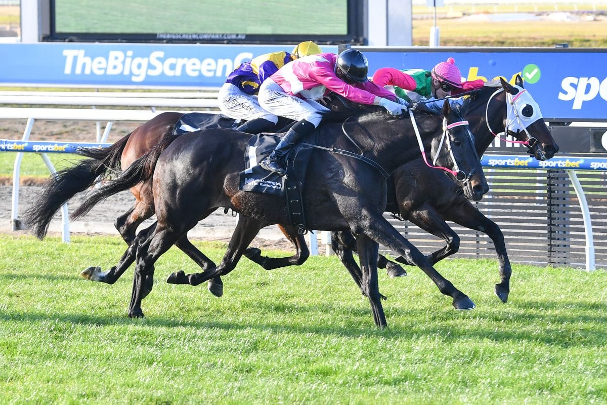 Cup winners' siblings fight out finish