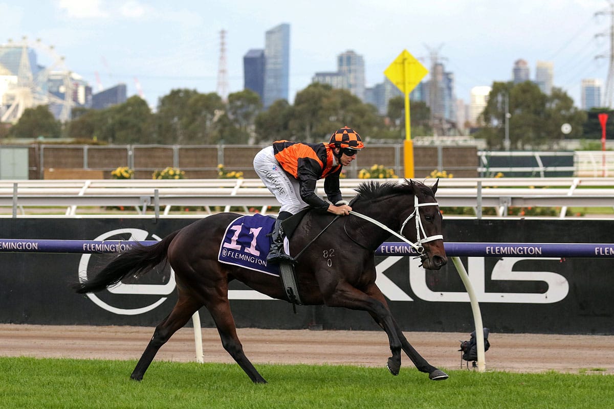 Wet track to suit in-form Ahuriri