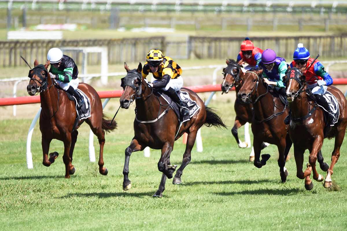 Blue-blooded Murdoch mares primed for Te Rapa