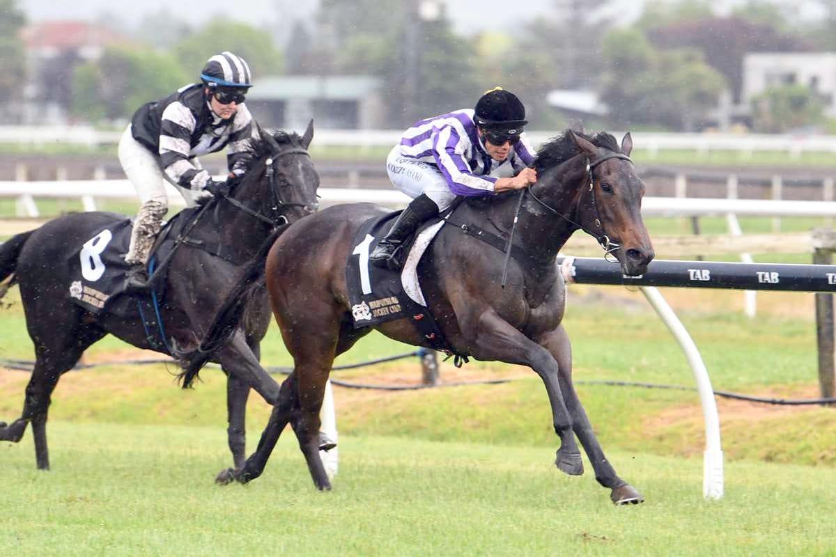 Hastings mare chasing northern black-type