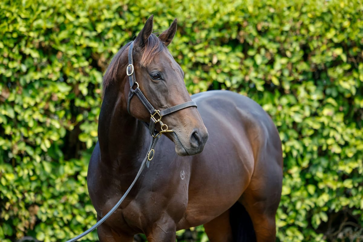 Widden Stud secures Bonny Lass