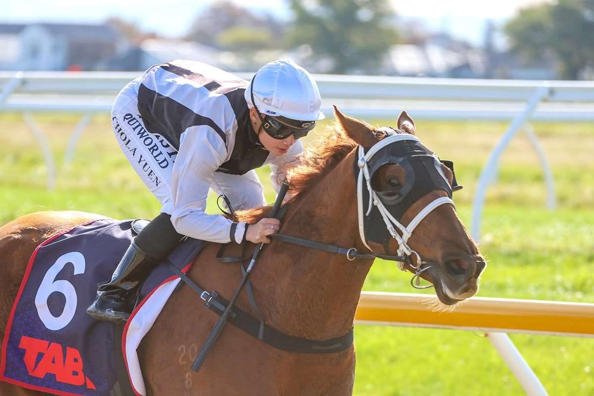 Synthetic suiting Southland stakes winner