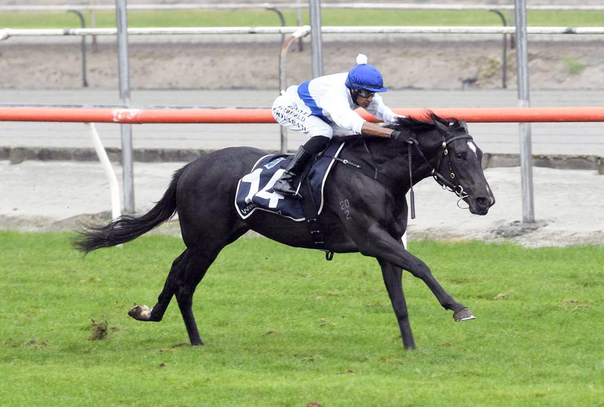 Cashla Bay Banking on Experience.