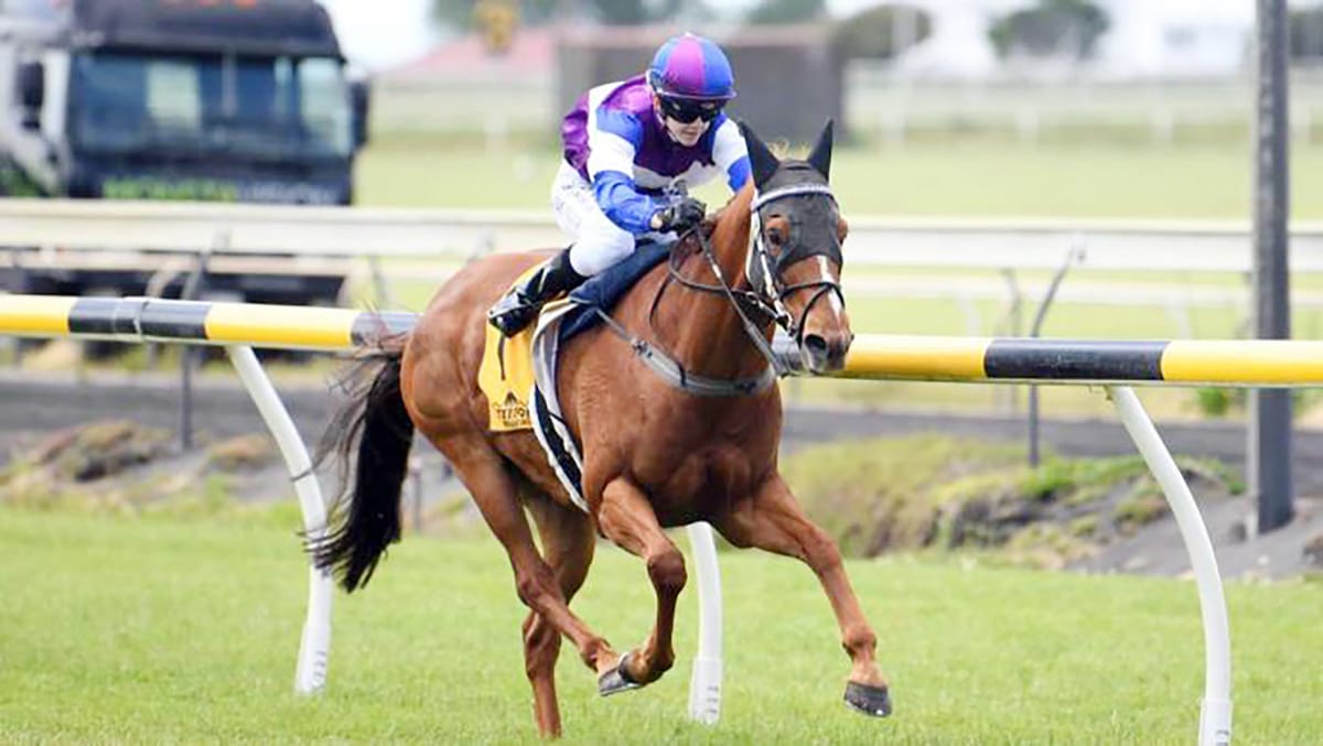 Chajaba Targets Opunake Cup
