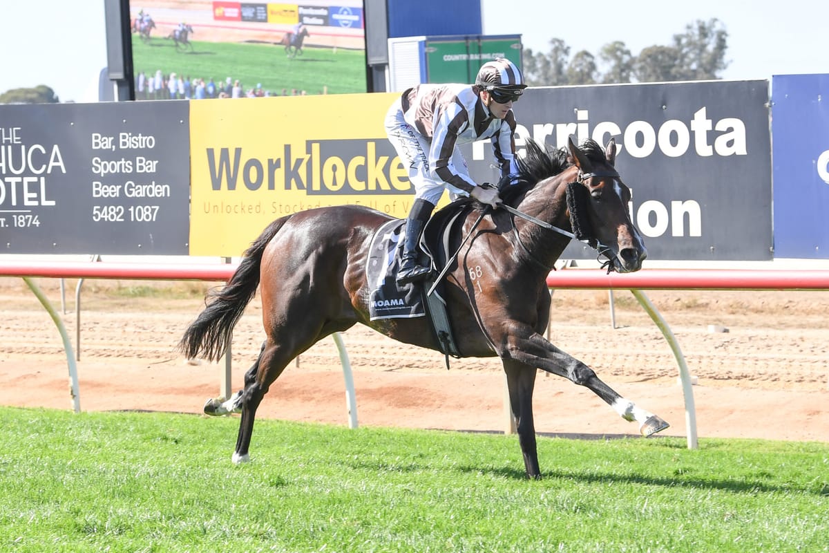 Lindsay Park's Derby Dream