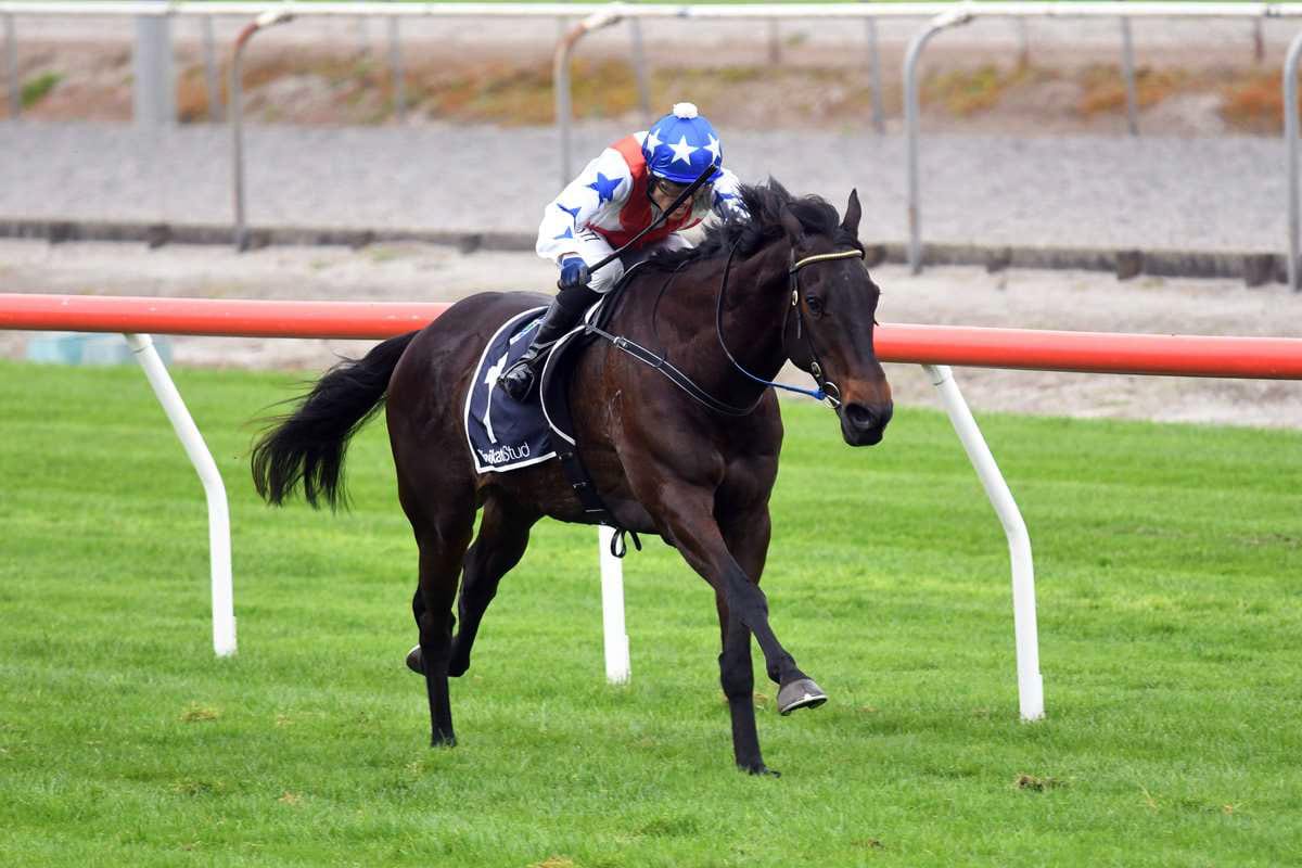 Guy stable targets Taranaki with in-form trio