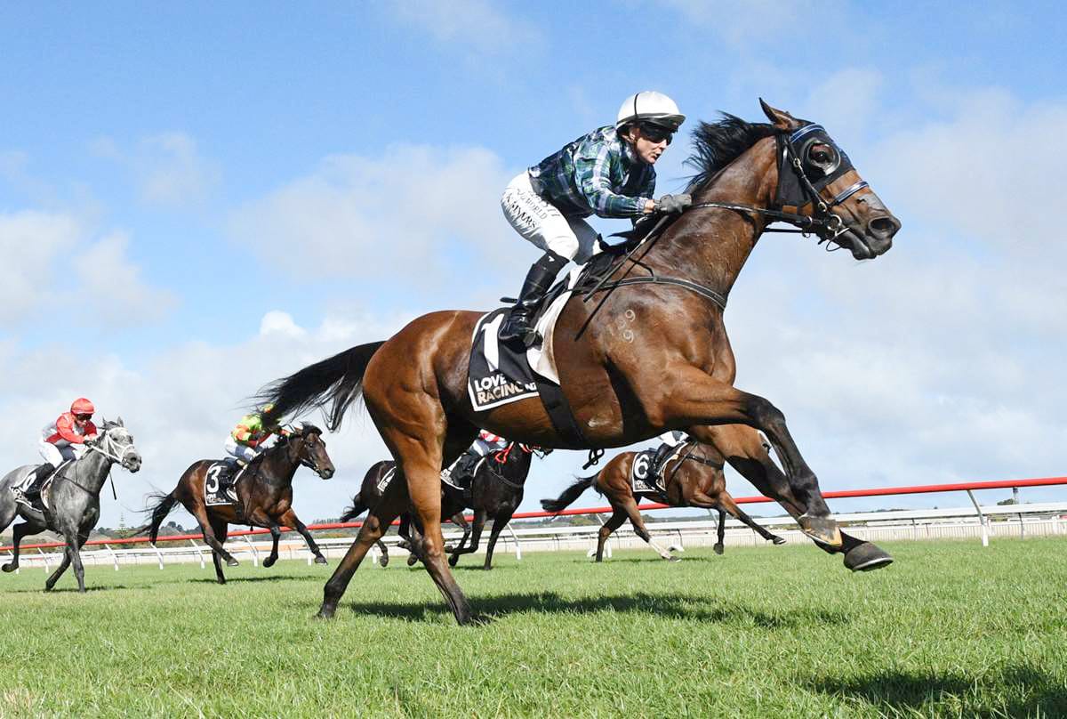 Wellington weather the worry for Grays