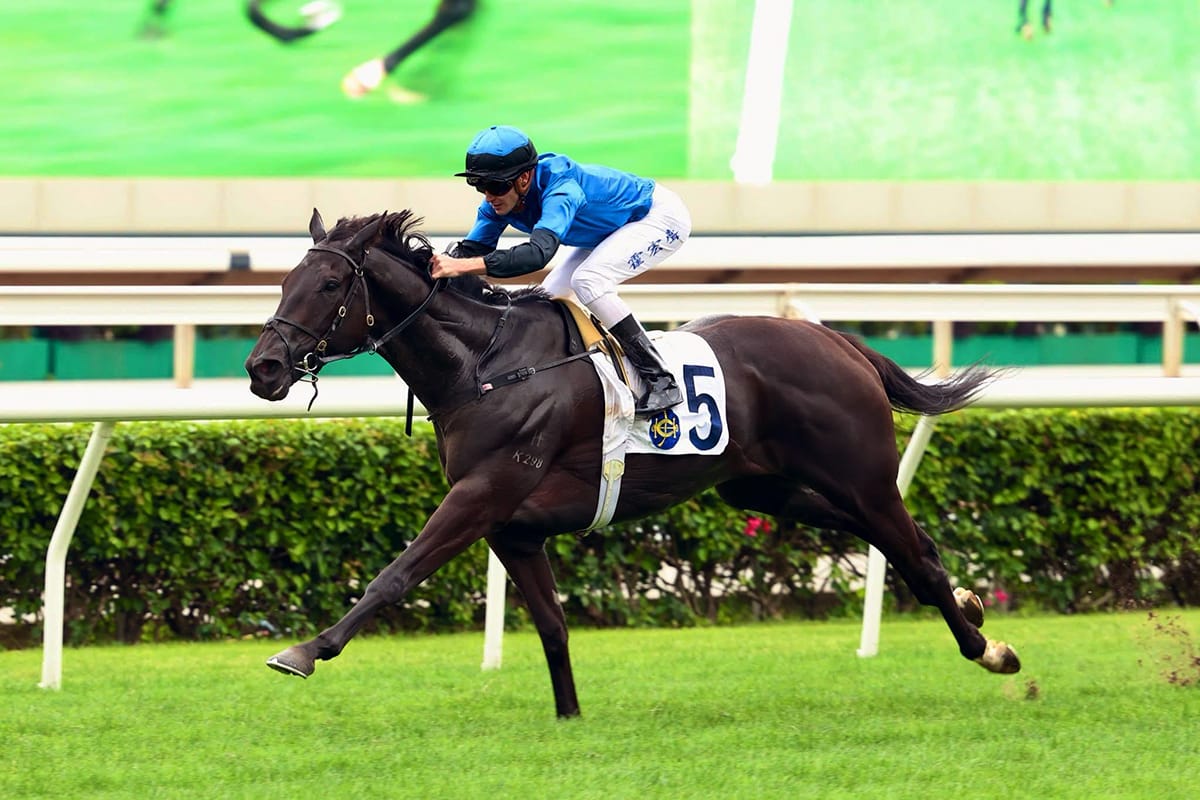 Ribchester 3YO dazzles at Sha Tin