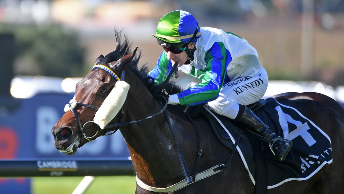 Do You Just blitzes Champagne rivals