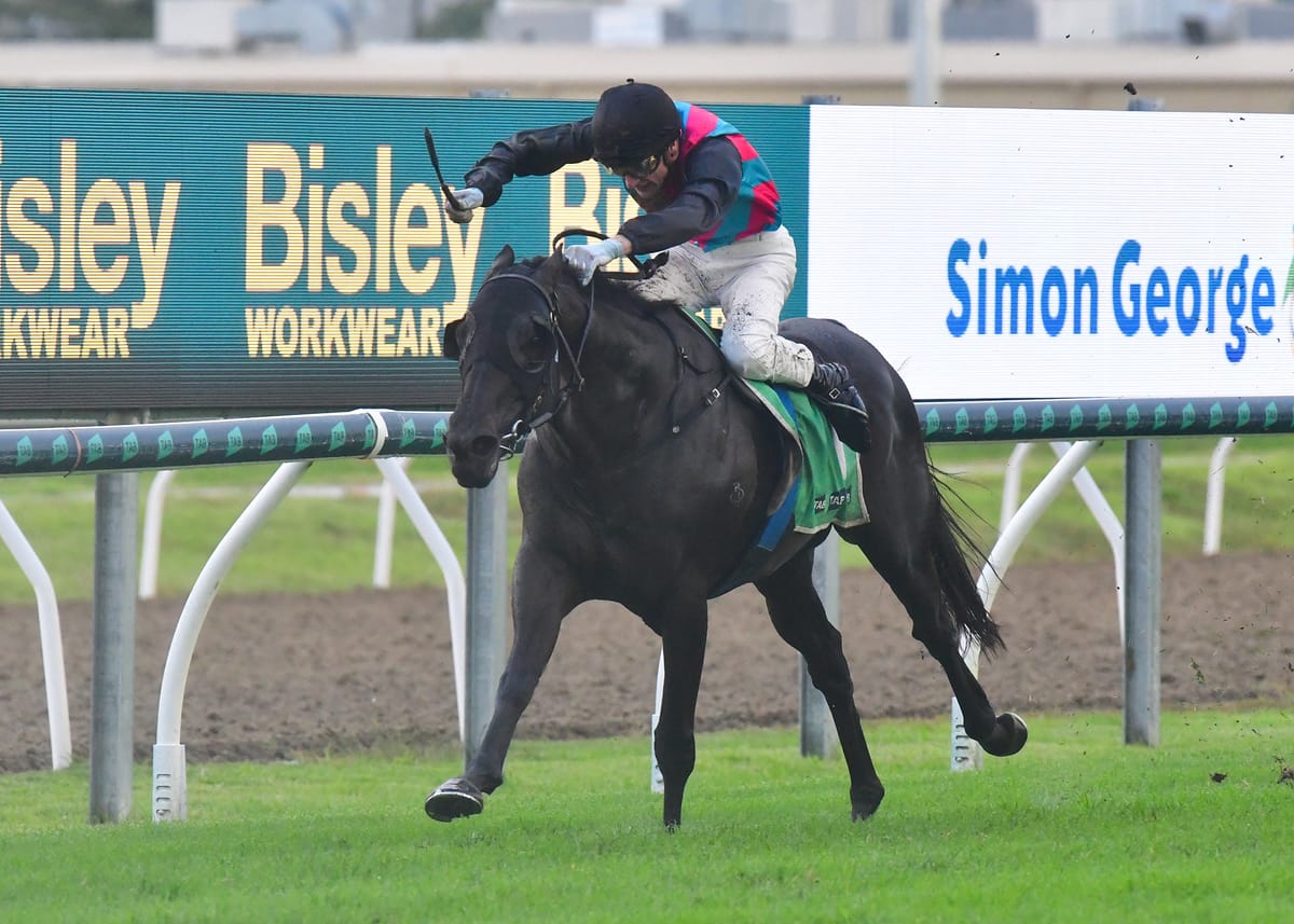 Stirring Hollindale victory for Antino