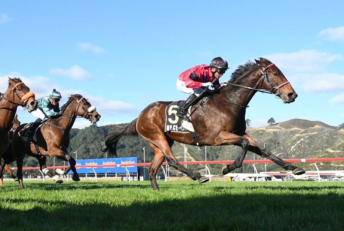 Fresh Enrico takes Masterton Cup