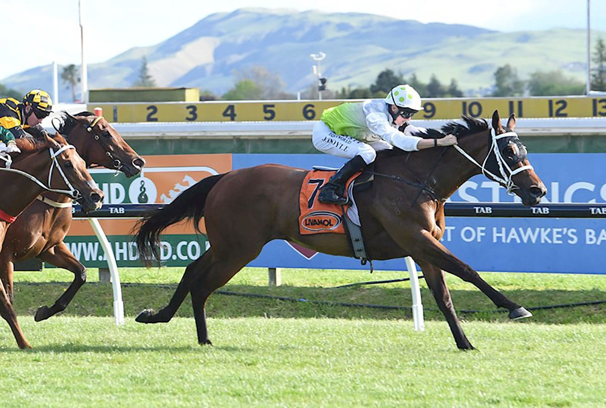 Stakes performers on the market on gavelhouse.com