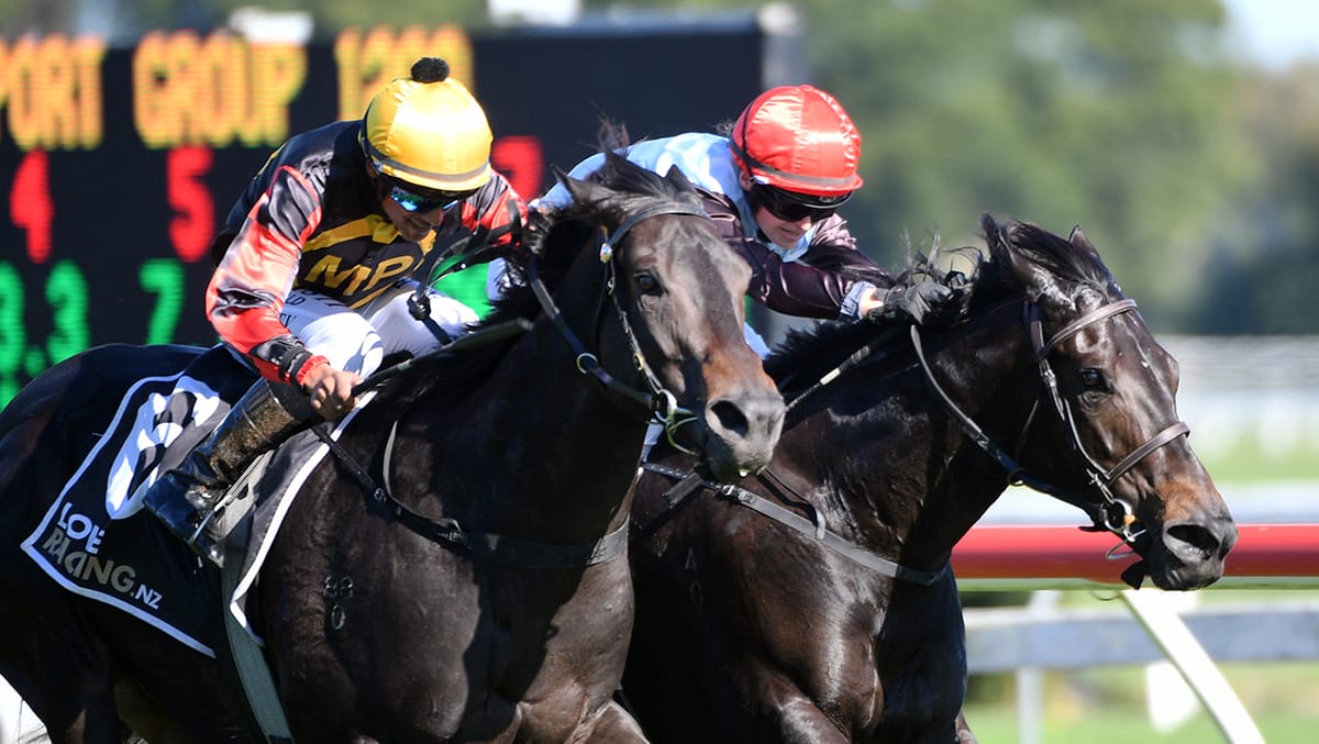 Force of Nature continues winning run