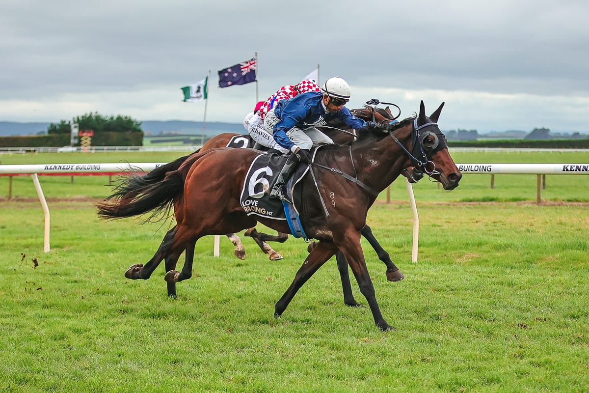 Southern Trio Ready to Shine at Trentham