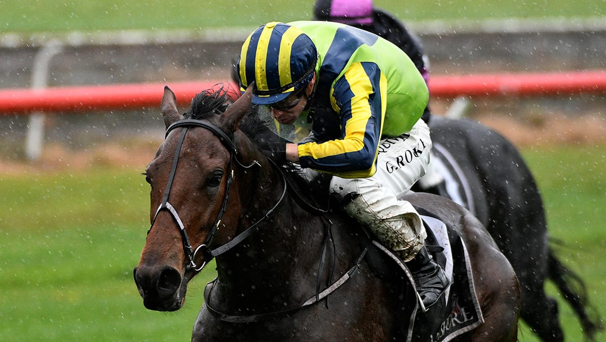 Wexford three-year-olds thrive in testing Tauranga conditions