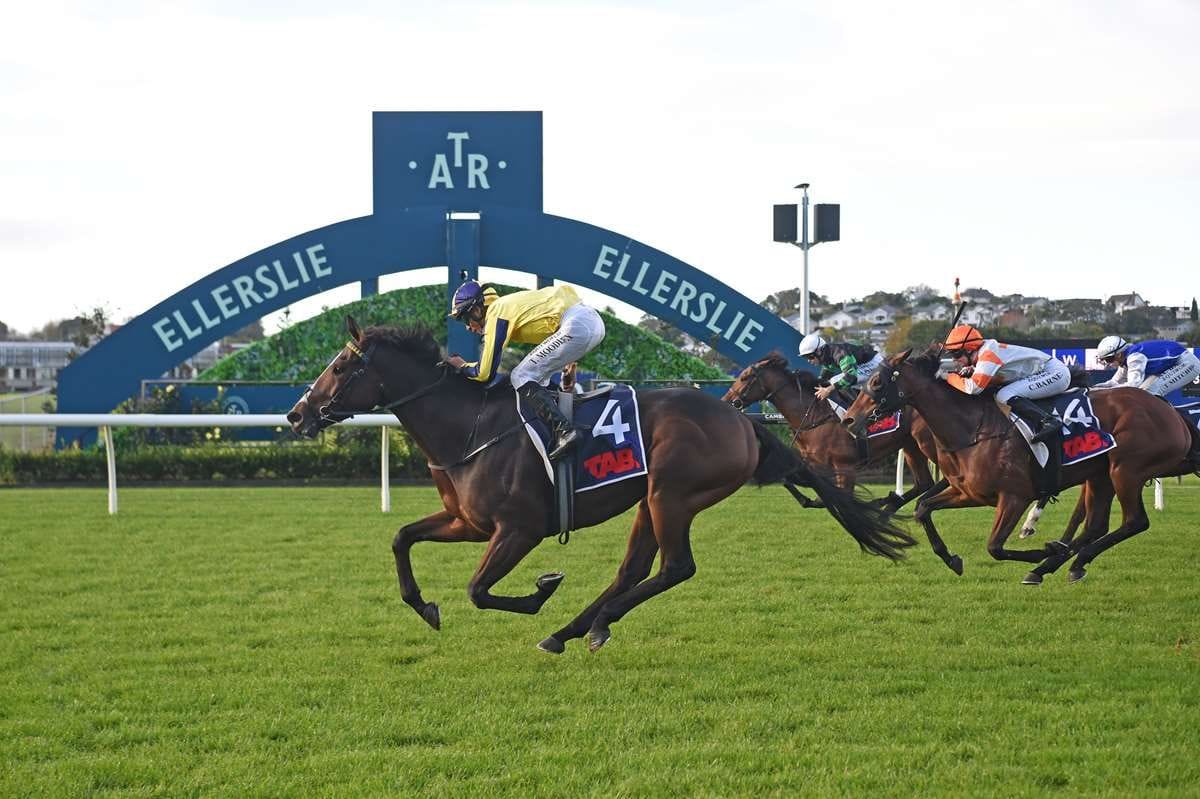 The comeback King reigns in Ellerslie staying contest