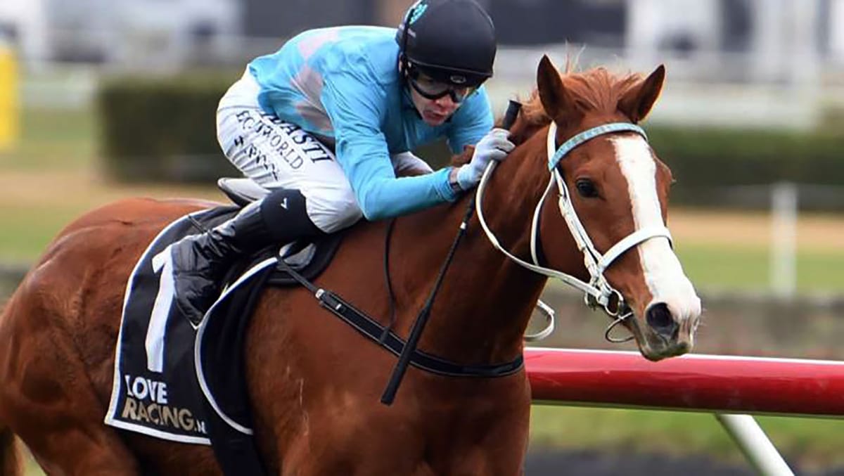 Knights Realm Chasing Trentham Triumph