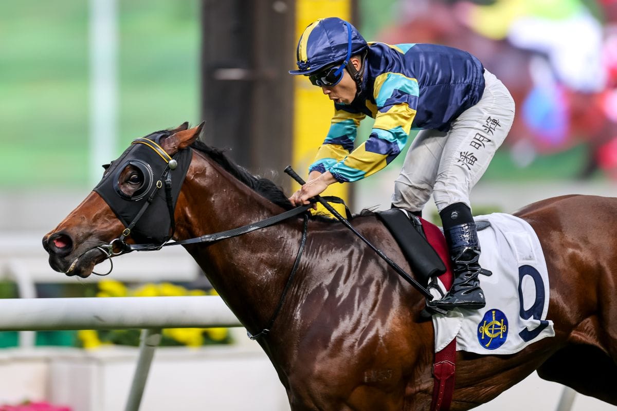 Lady's Choice could get stakes opportunity