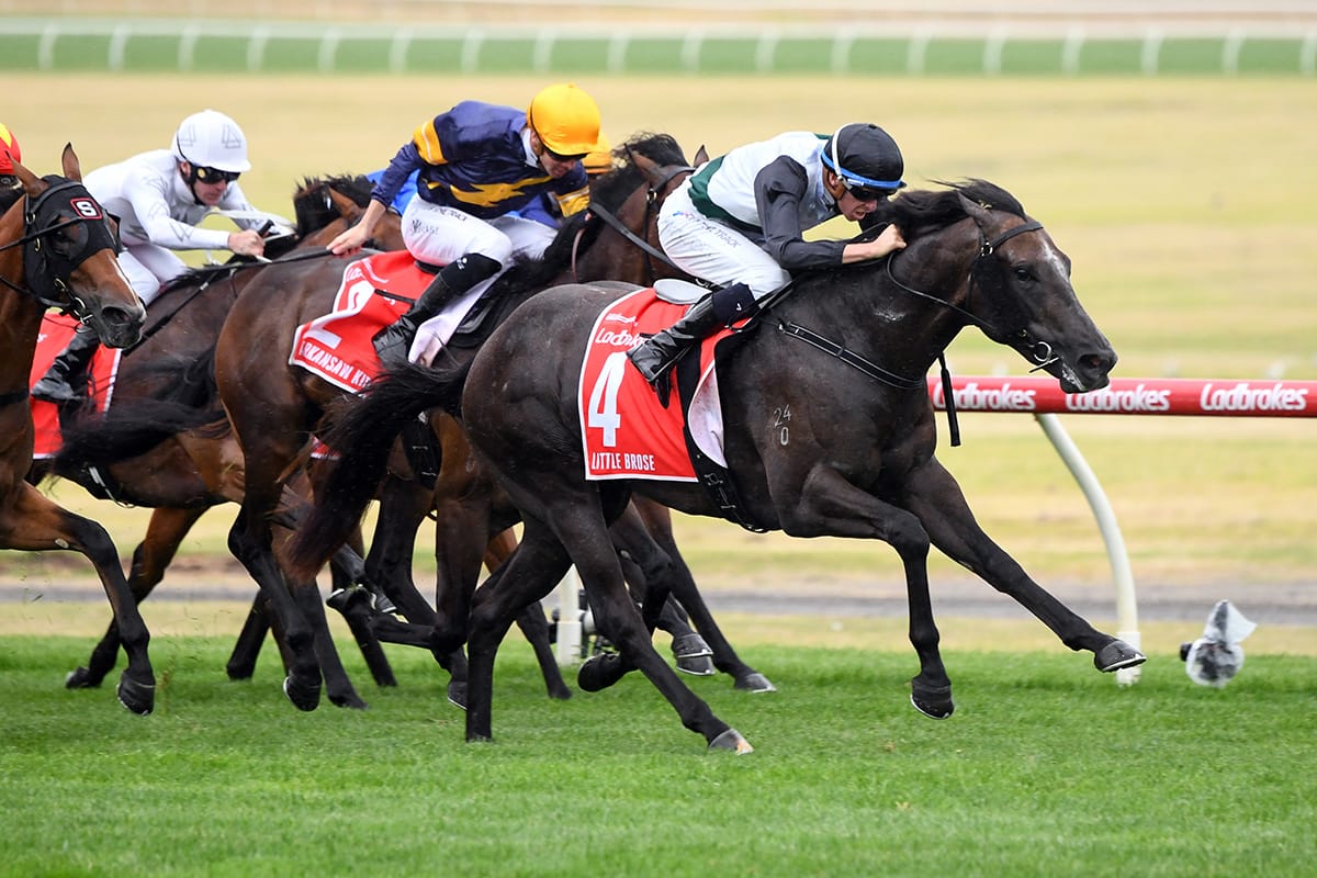 Little Avondale to unveil Little Brose at open day