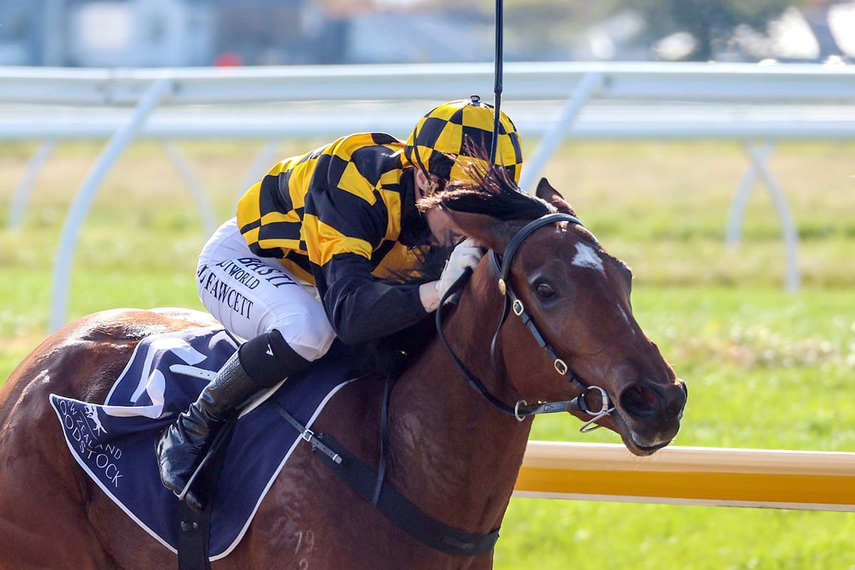 Champagne result at Riccarton for Cambridge Stud